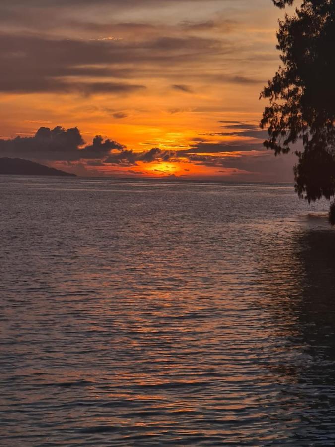 Wai Resort - Raja Ampat Pulau Birie Eksteriør bilde
