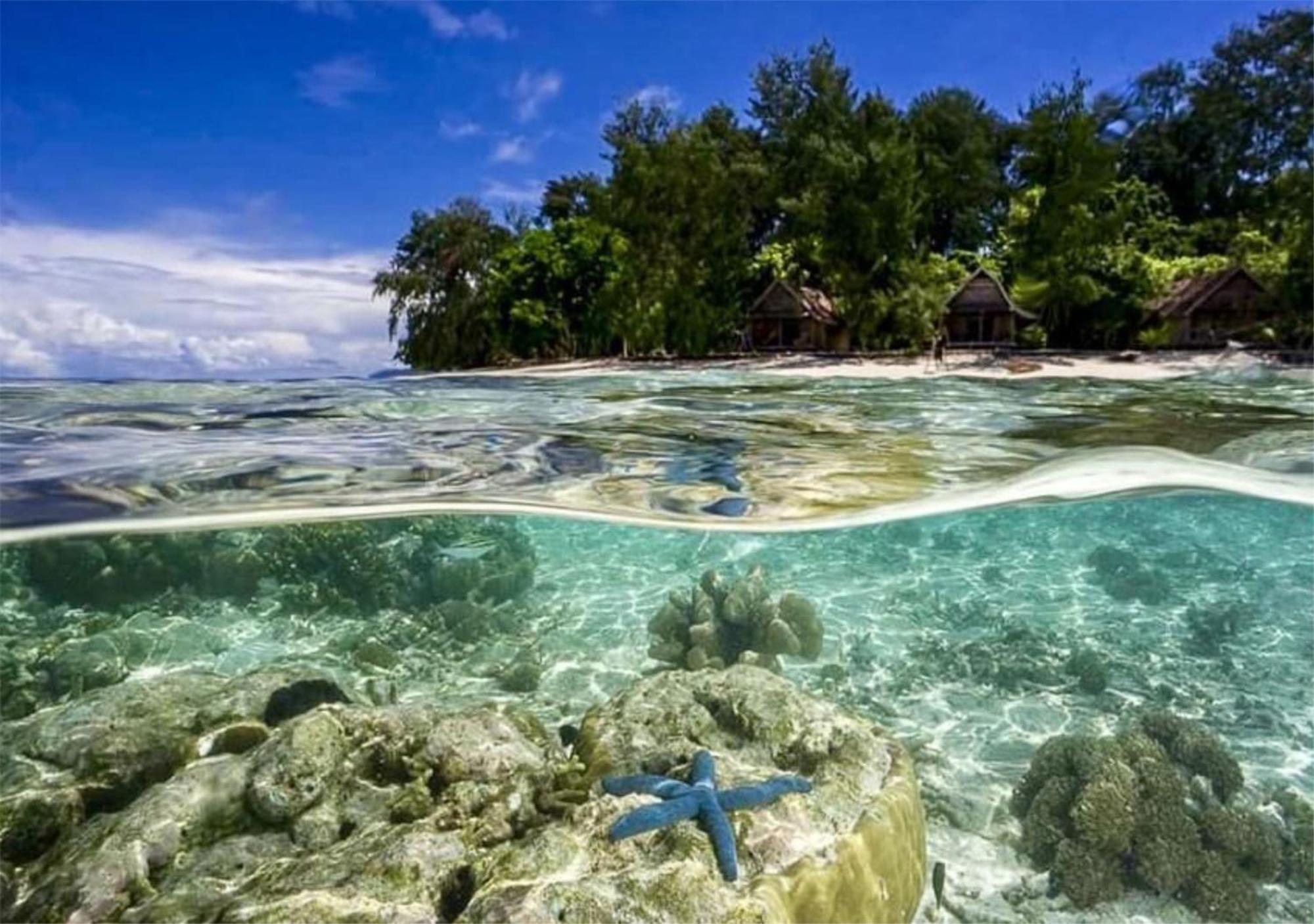 Wai Resort - Raja Ampat Pulau Birie Eksteriør bilde