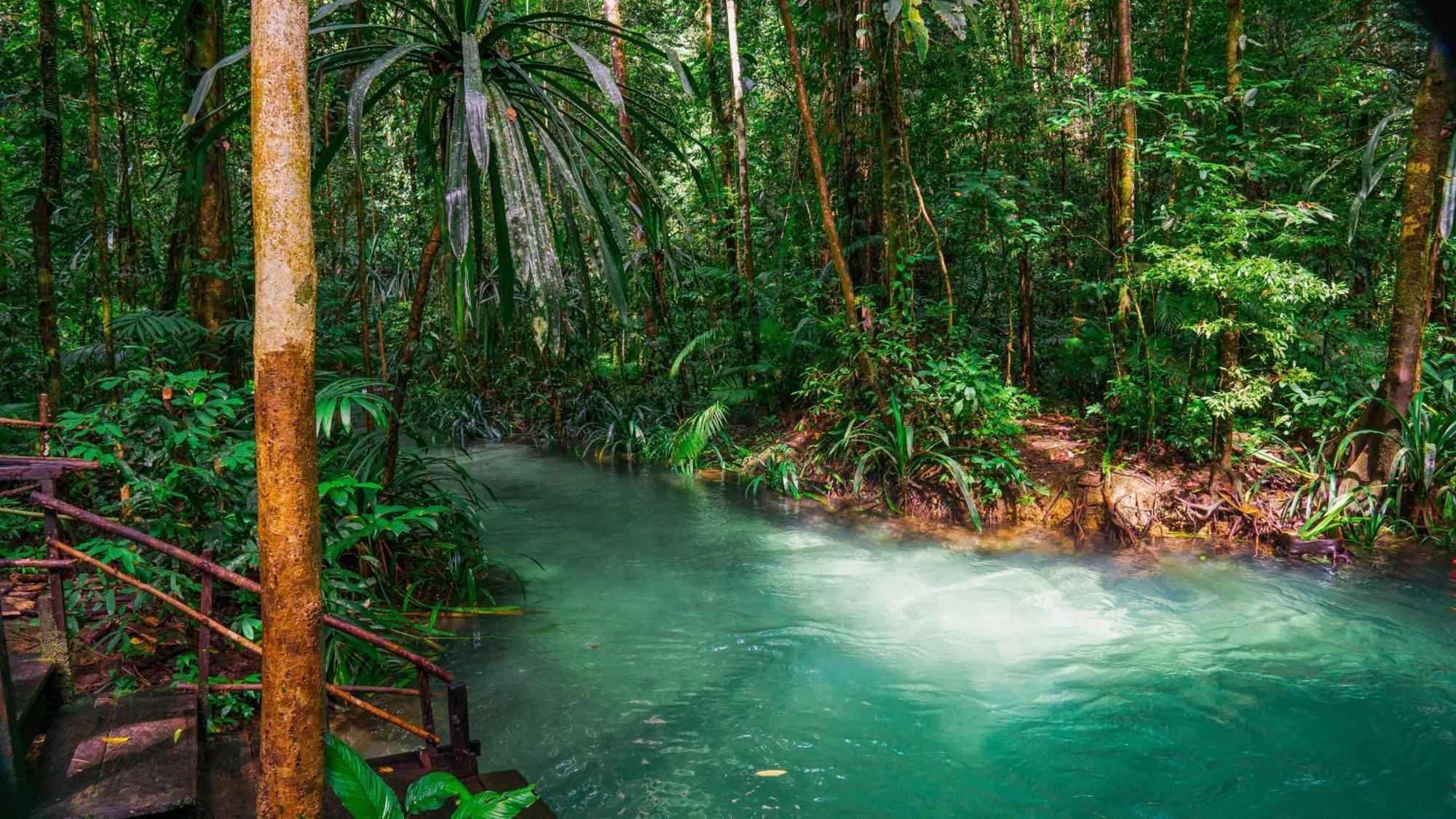 Wai Resort - Raja Ampat Pulau Birie Eksteriør bilde