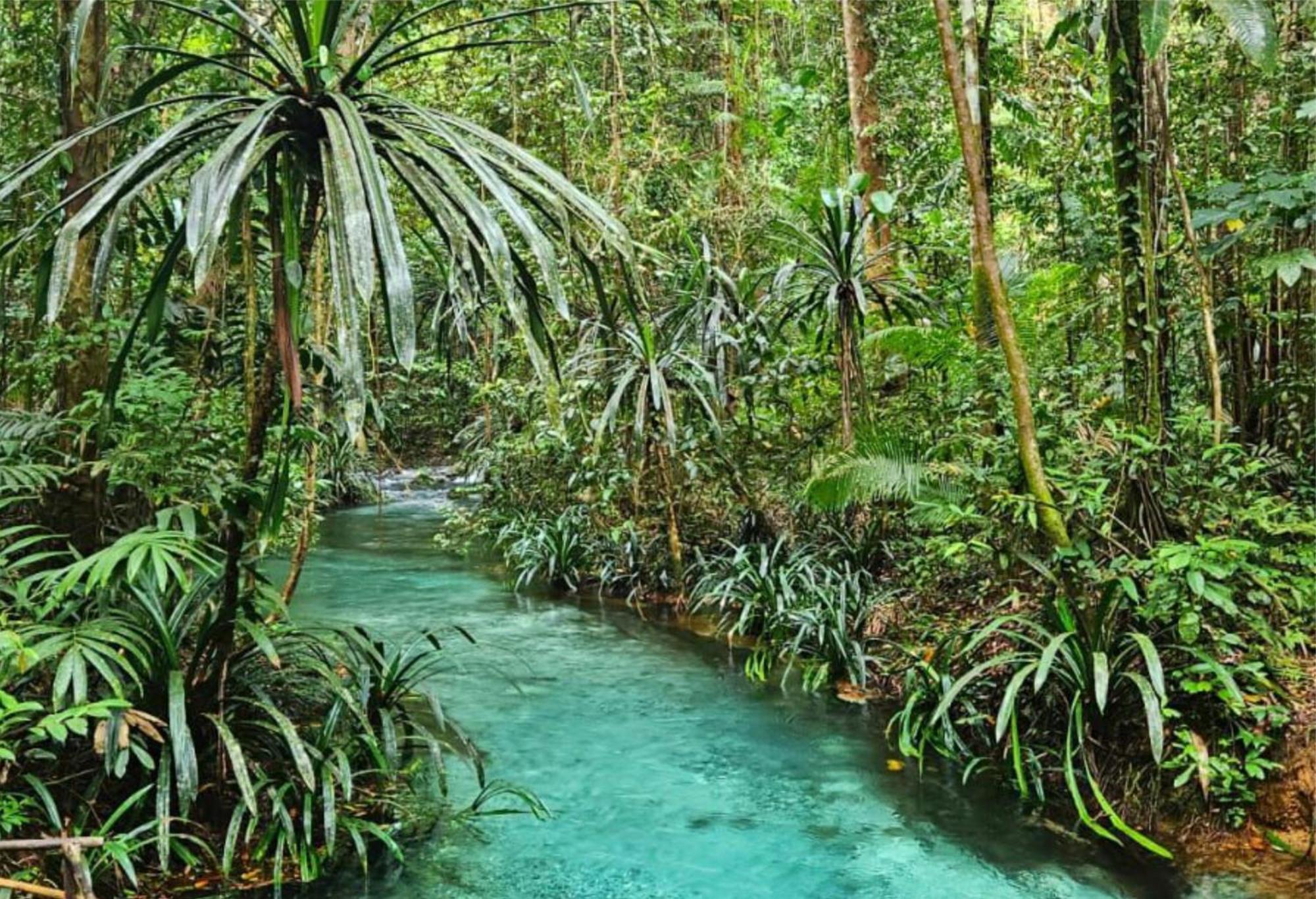 Wai Resort - Raja Ampat Pulau Birie Eksteriør bilde